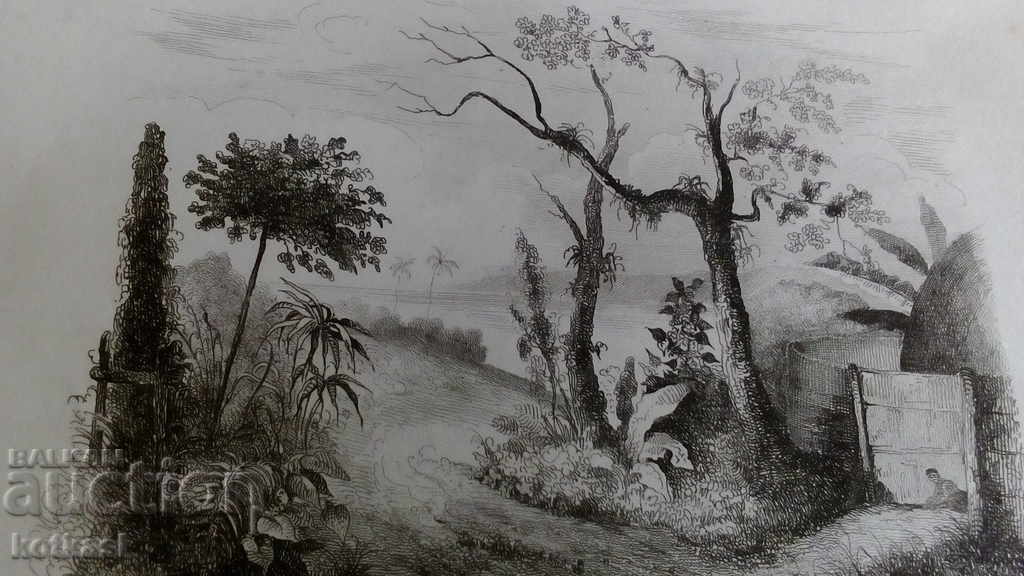 Δημοπρασία Παλιά χαρακτική λιθογραφία γραφικό Δημοπρασία Παλιά χαρακτική λιθογραφία γραφικό