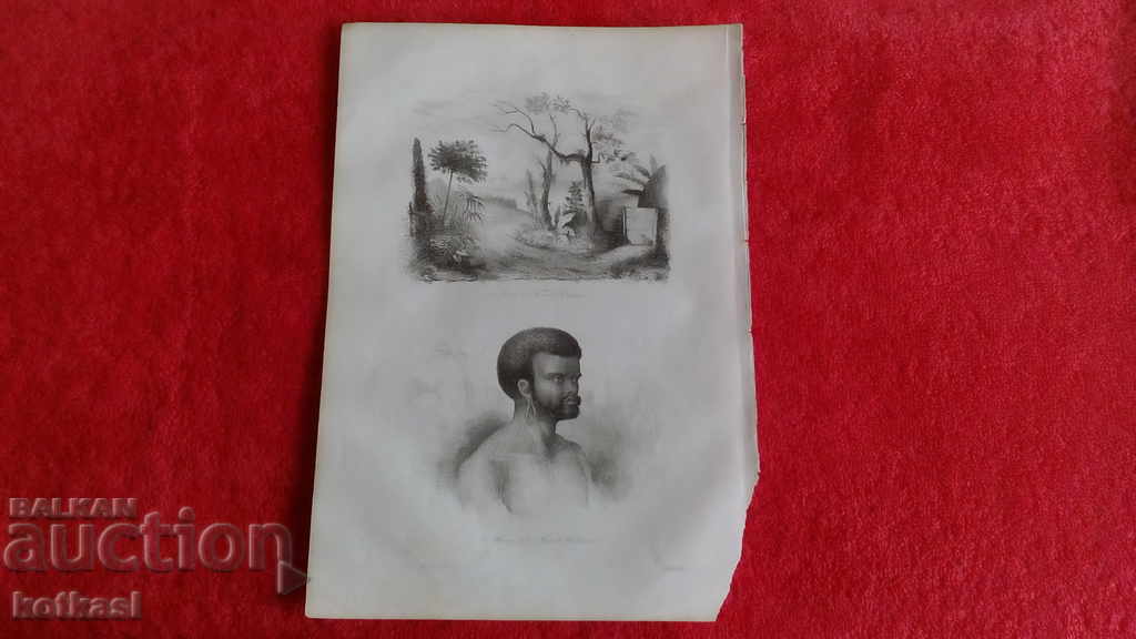 Παλιά χαρακτική λιθογραφία γραφικό Παλιά χαρακτική λιθογραφία γραφικό