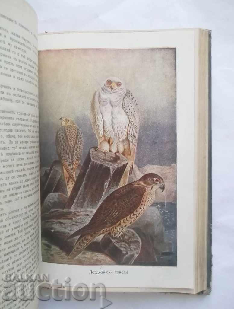 Plants Animals from the biological point of view Boris Mitov 1924 - 5