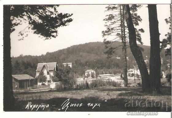 Κάρτα Βουλγαρία Resort "Tsigov Chark" 2 *
