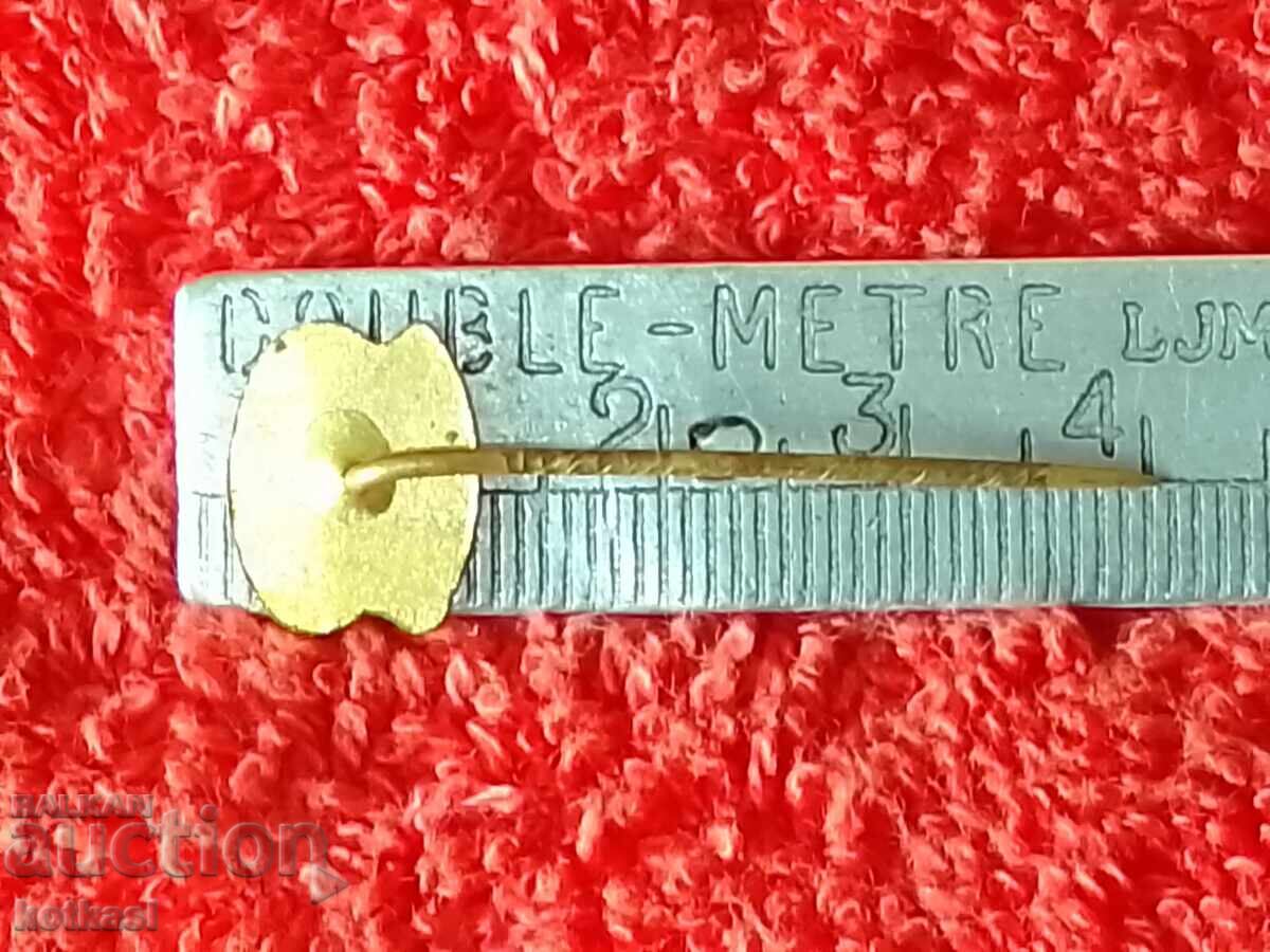 Old badge bronze pin DRUKOV BRNO with price 2.50 BGN | € 1.28 Old badge bronze pin DRUKOV BRNO with price 2.50 BGN | € 1.28