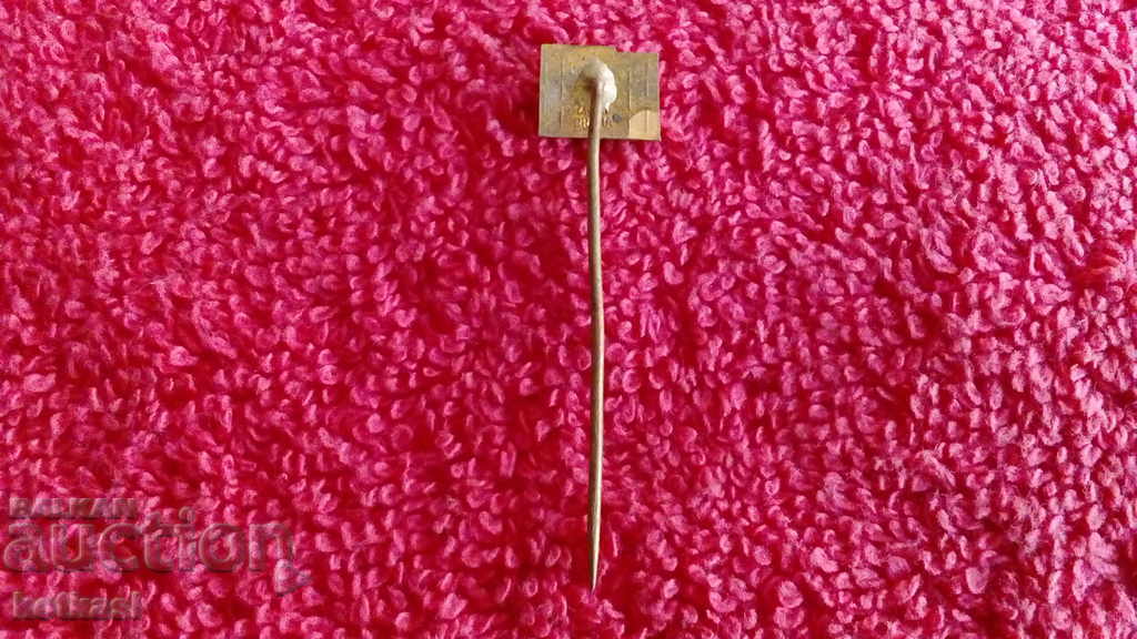 Auction Old bronze pin badge Auction Old bronze pin badge