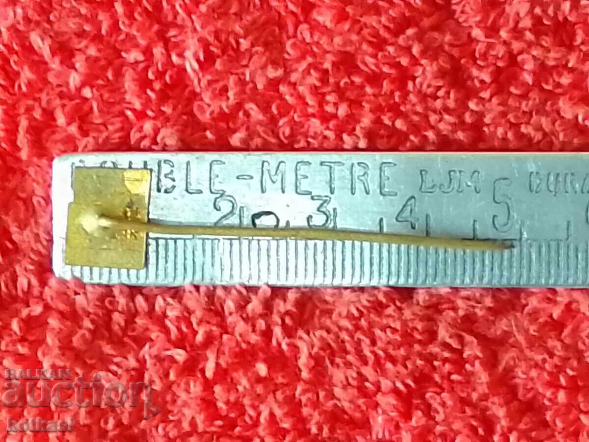 Delivery of Old bronze pin badge Delivery of Old bronze pin badge