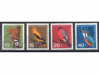 1963. FGD. Birds.