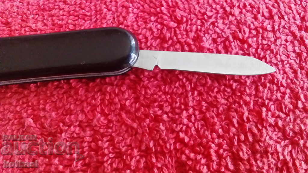 Delivery of Mini pocket knife Delivery of Mini pocket knife