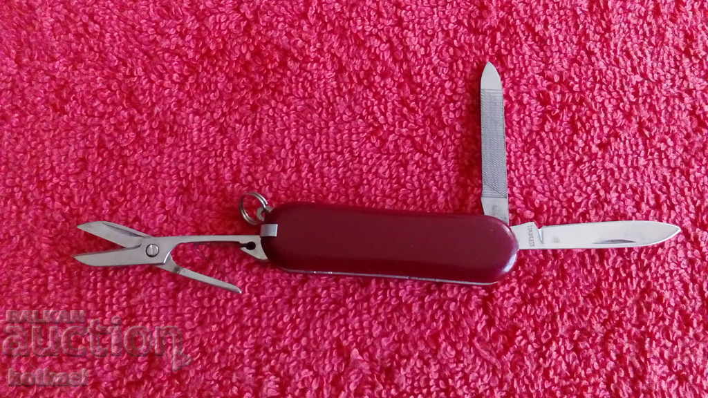 Livrarea Mini cuțit de buzunar