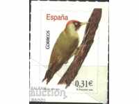 Pure Woodpecker Pure Brand 2008 from Spain