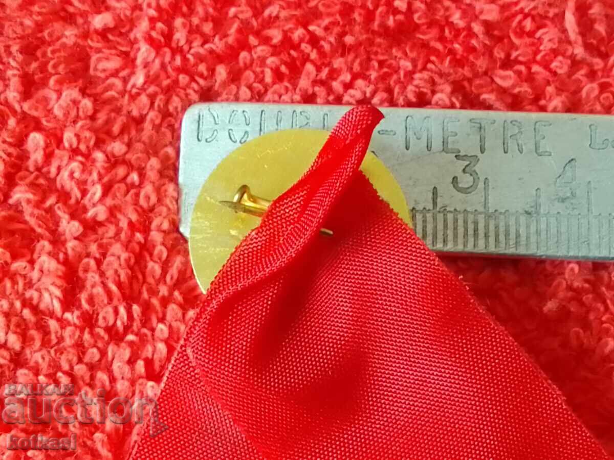 Old commemorative badge with ribbon 25 years ESPU ANTON IVANOV Shumen - 6 Old commemorative badge with ribbon 25 years ESPU ANTON IVANOV Shumen - 6