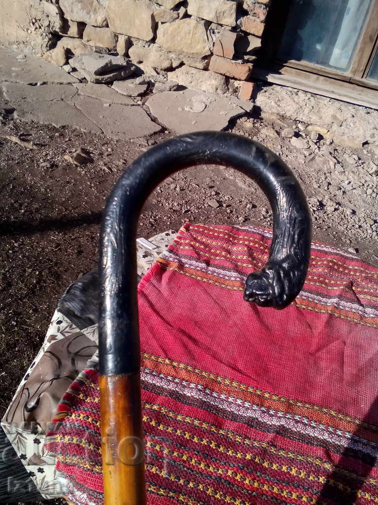 Auction Ancient cane Auction Ancient cane