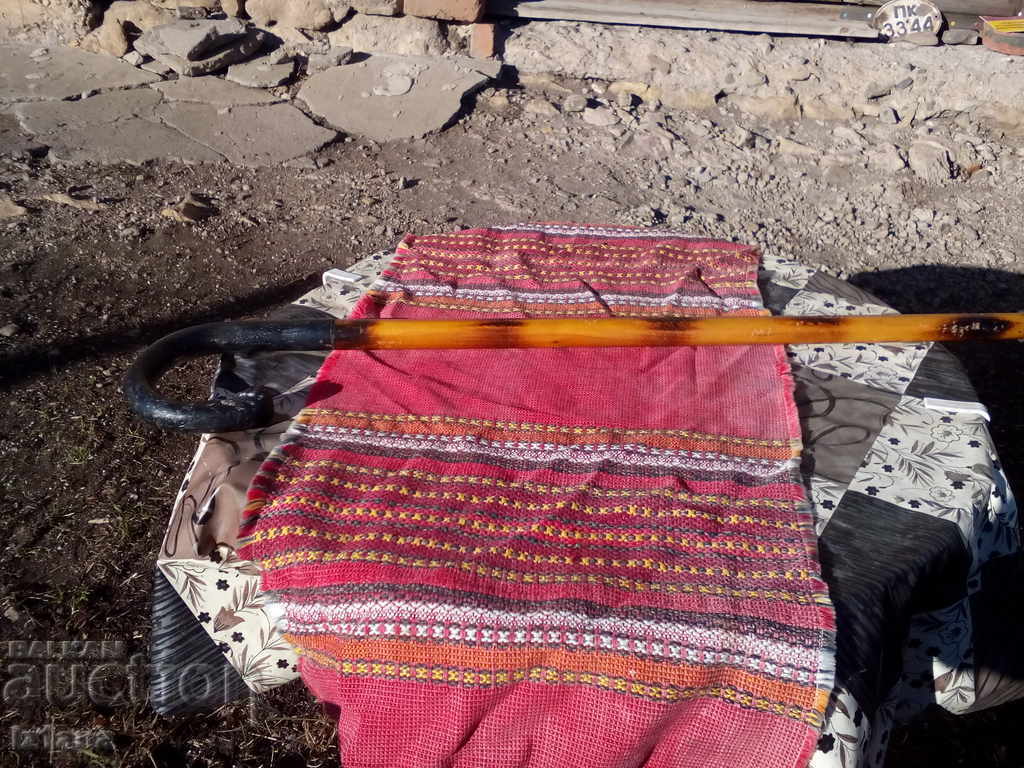 Ancient cane Ancient cane