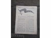 Ziarul "Libertate sau Moarte" VMRO numărul 123