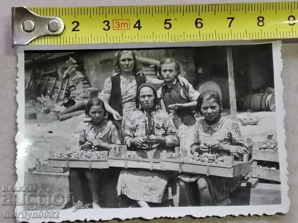 Auction Photo paper photography 30's Auction Photo paper photography 30's