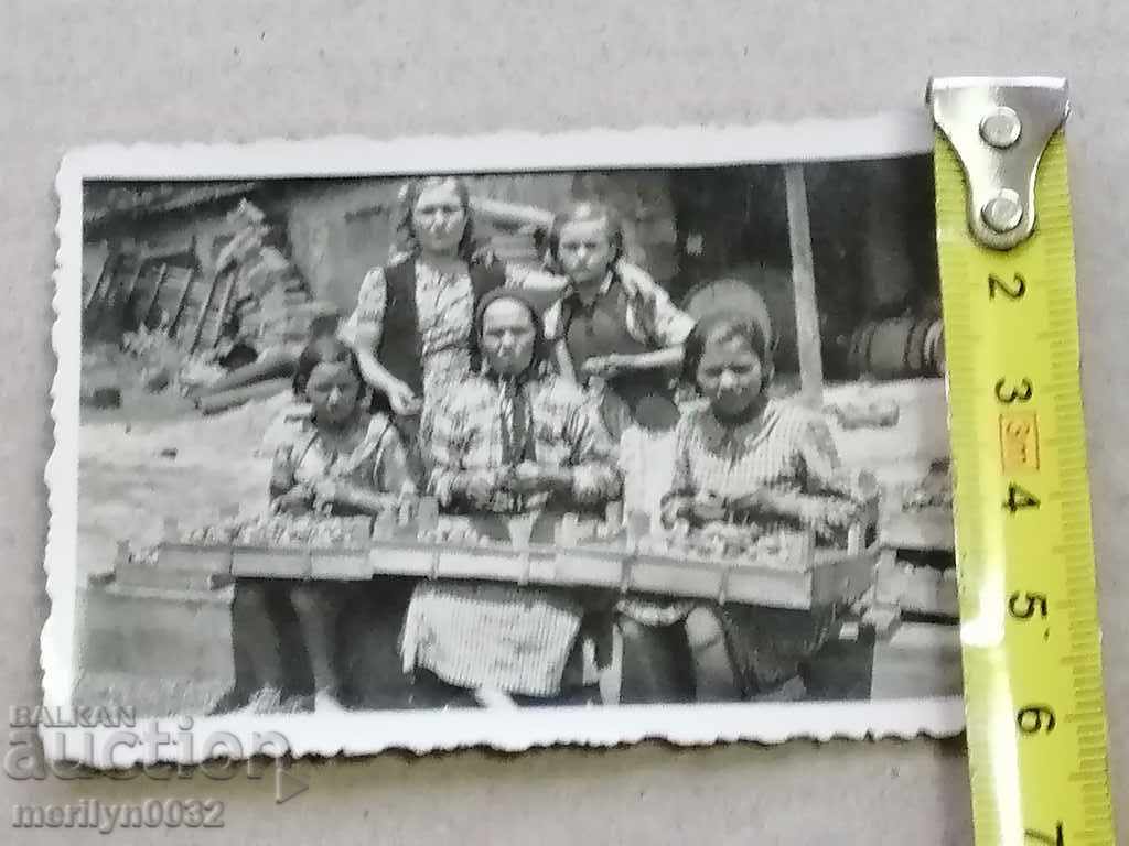 Delivery of Photo paper photography 30's Delivery of Photo paper photography 30's