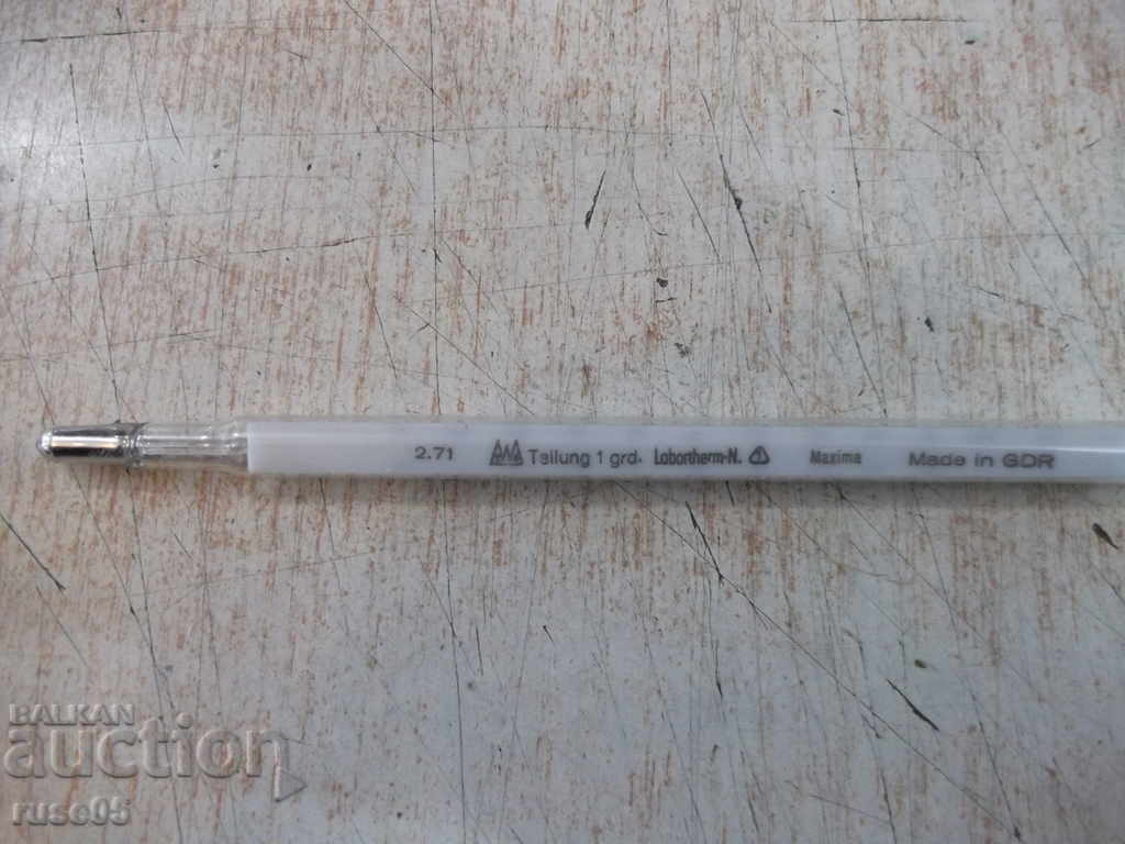 Termometru (0 ° C ÷ 250 ° C) German (GDR) suculent - 5
