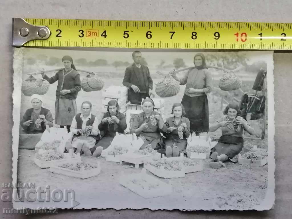 Auction  Photo paper photography 30's