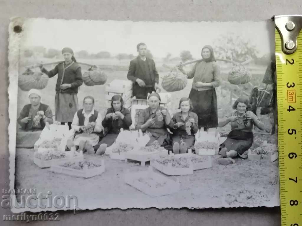 Delivery of Photo paper photography 30's