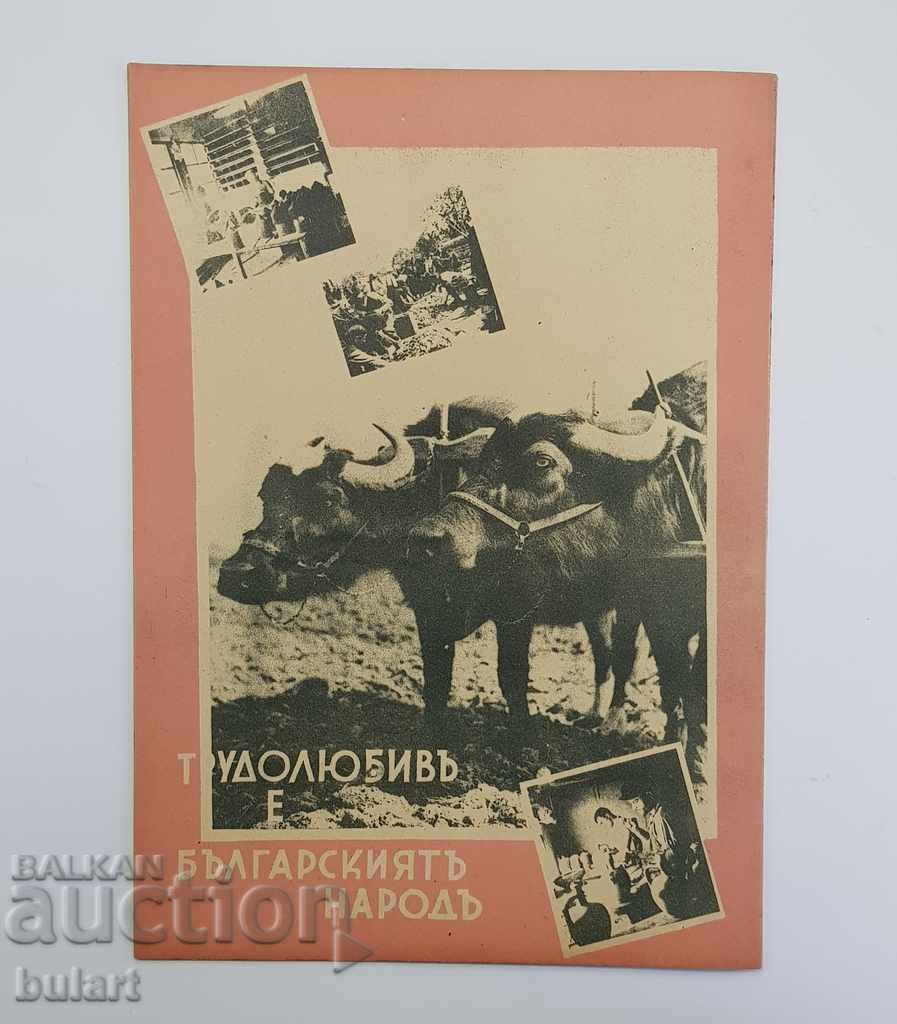 WRITING LETTER ISSUE. BUMPER YEAR 2 ISSUE 5 Magazine Orle - 5