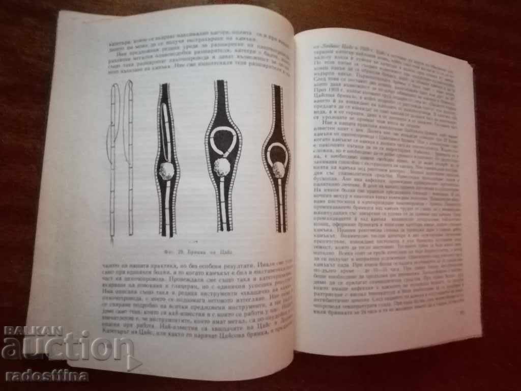 Auction Nephrolithiasis Century Lambrev and Eve. Victor Auction Nephrolithiasis Century Lambrev and Eve. Victor