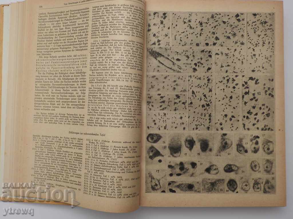 Δημοπρασία 1948 Γερμανικό βιβλίο ιατρικού βιβλίου Arztliche Forschung Δημοπρασία 1948 Γερμανικό βιβλίο ιατρικού βιβλίου Arztliche Forschung