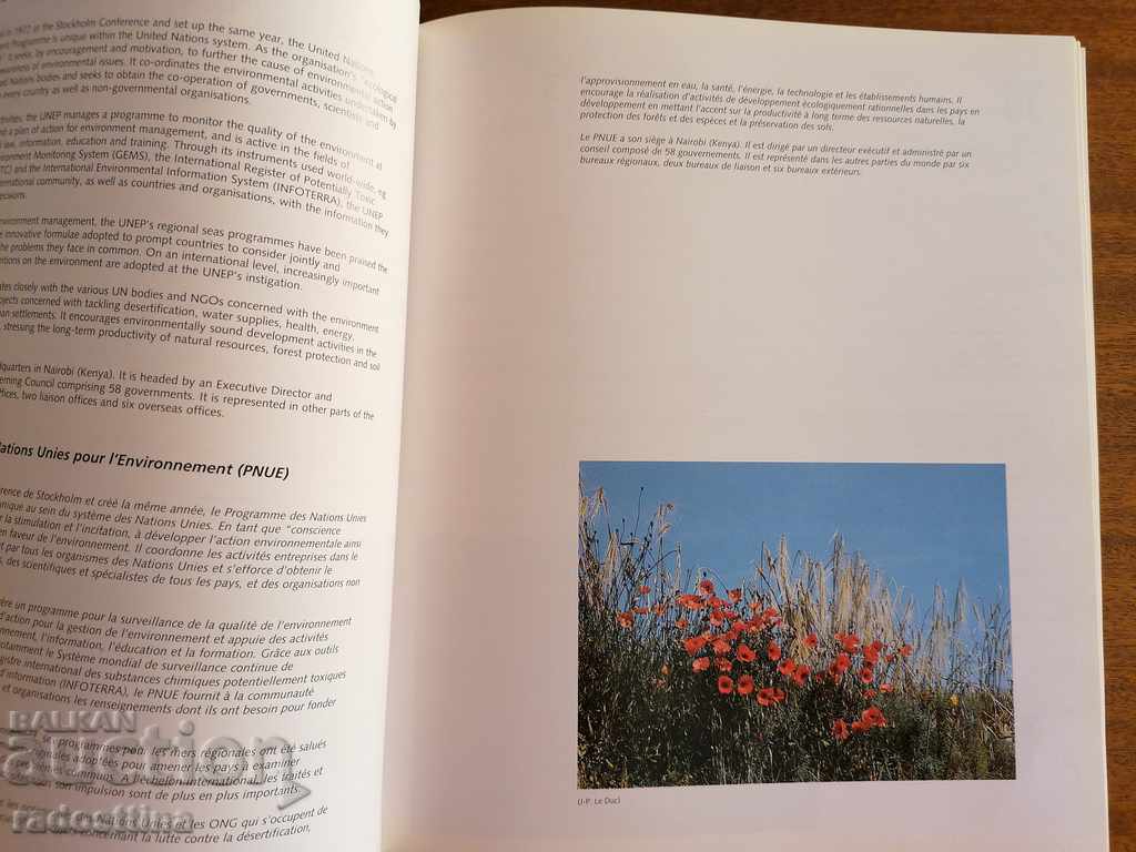 Auction Euro diary Council of Europe 1995 new Auction Euro diary Council of Europe 1995 new