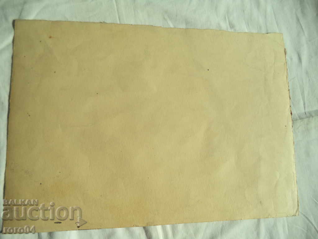 STAR AKVAREL - 6 STAR AKVAREL - 6