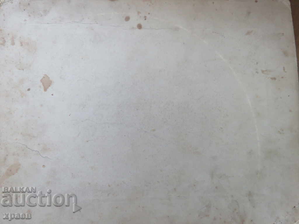 Licitație FOTO VECHE - CARTON - MARE - 0420