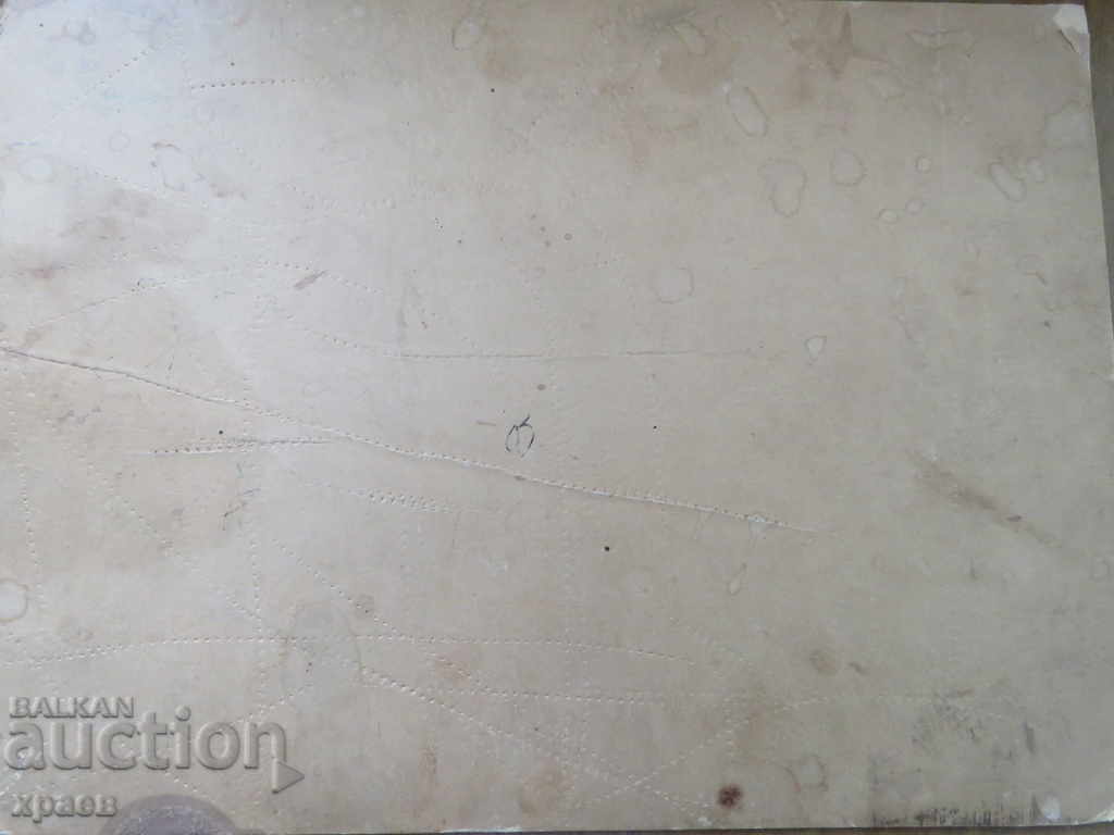 Δημοπρασία ΠΑΛΙΑ ΦΩΤΟ - ΧΑΡΤΟΝΙ - ΜΕΓΑΛΟ - 0421