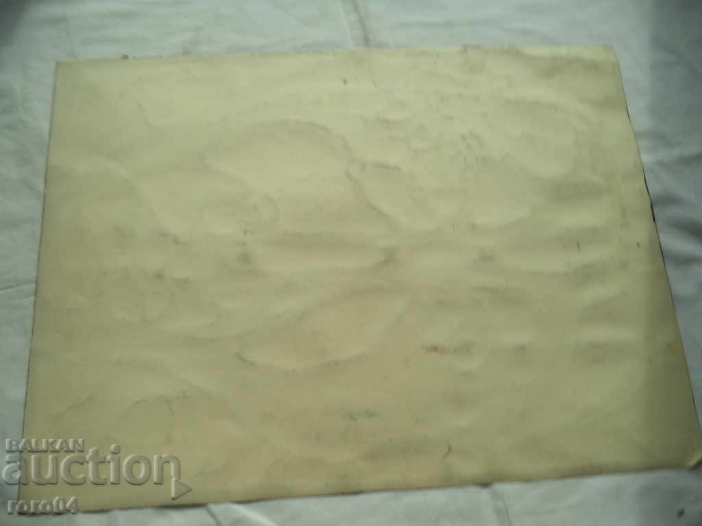 STAR AKVAREL - 6 STAR AKVAREL - 6