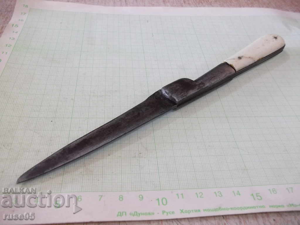 Folding knife "59 SAUVAGNAT GARANTI" with bone sores - 5 Folding knife "59 SAUVAGNAT GARANTI" with bone sores - 5