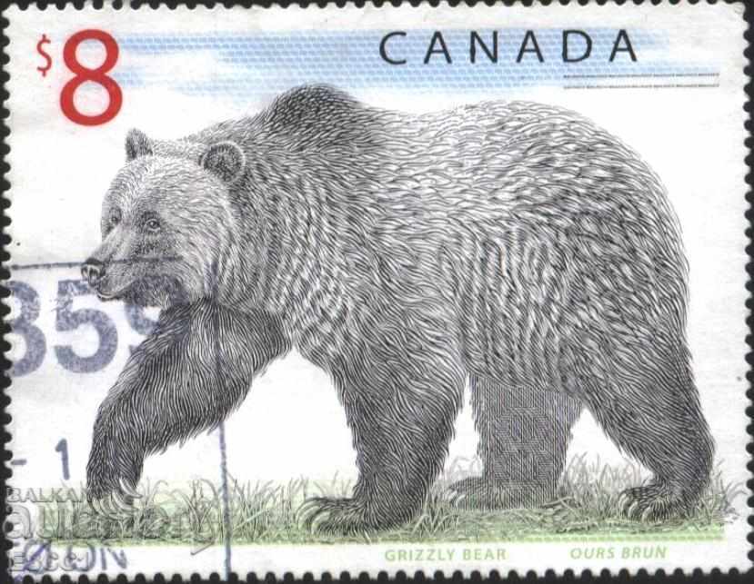 Kleymovana marca Ursul 1997 din Canada
