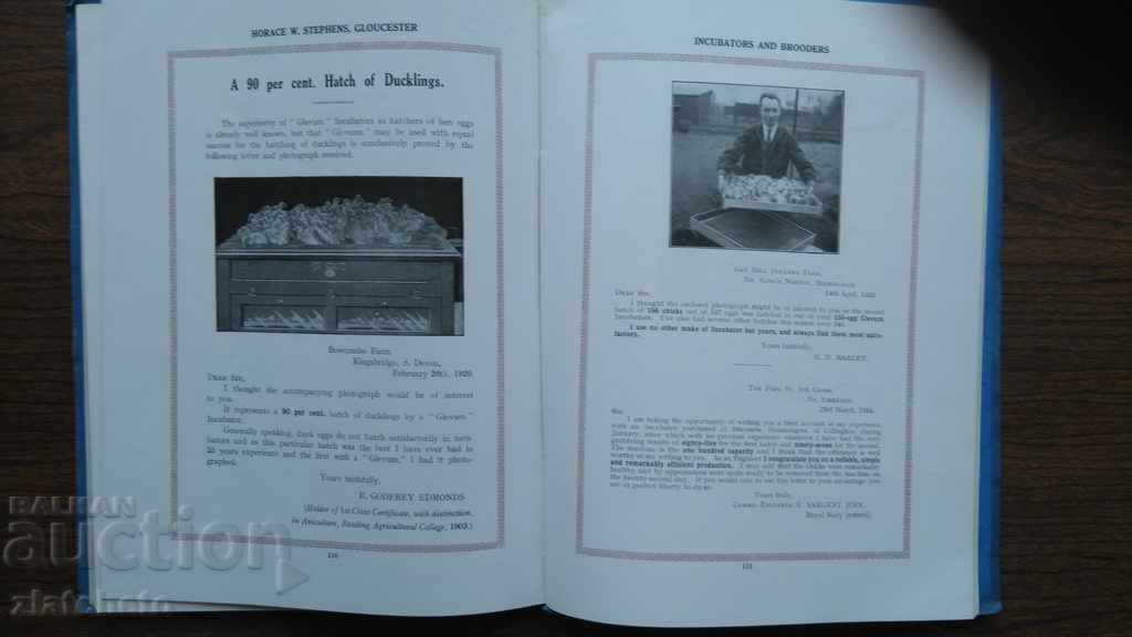 "Glevum" Incubators and Broders - 5 "Glevum" Incubators and Broders - 5