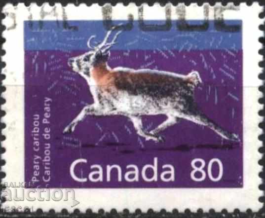 Branded Fauna of Piri Caribou 1990 from Canada