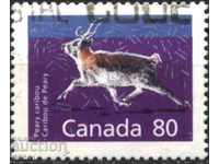 Branded Fauna of Piri Caribou 1990 from Canada