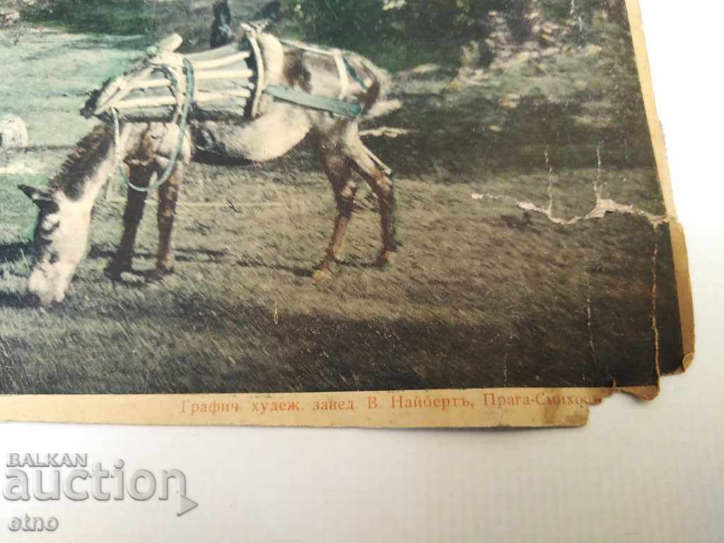 Παράδοση ΜΕΓΑΛΥΤΕΡΗ φωτογραφία του Τσάρου, Λιθογραφία, ΣΥΛΛΟΓΗ, ΧΡΩΜΑ, κοστούμι Παράδοση ΜΕΓΑΛΥΤΕΡΗ φωτογραφία του Τσάρου, Λιθογραφία, ΣΥΛΛΟΓΗ, ΧΡΩΜΑ, κοστούμι