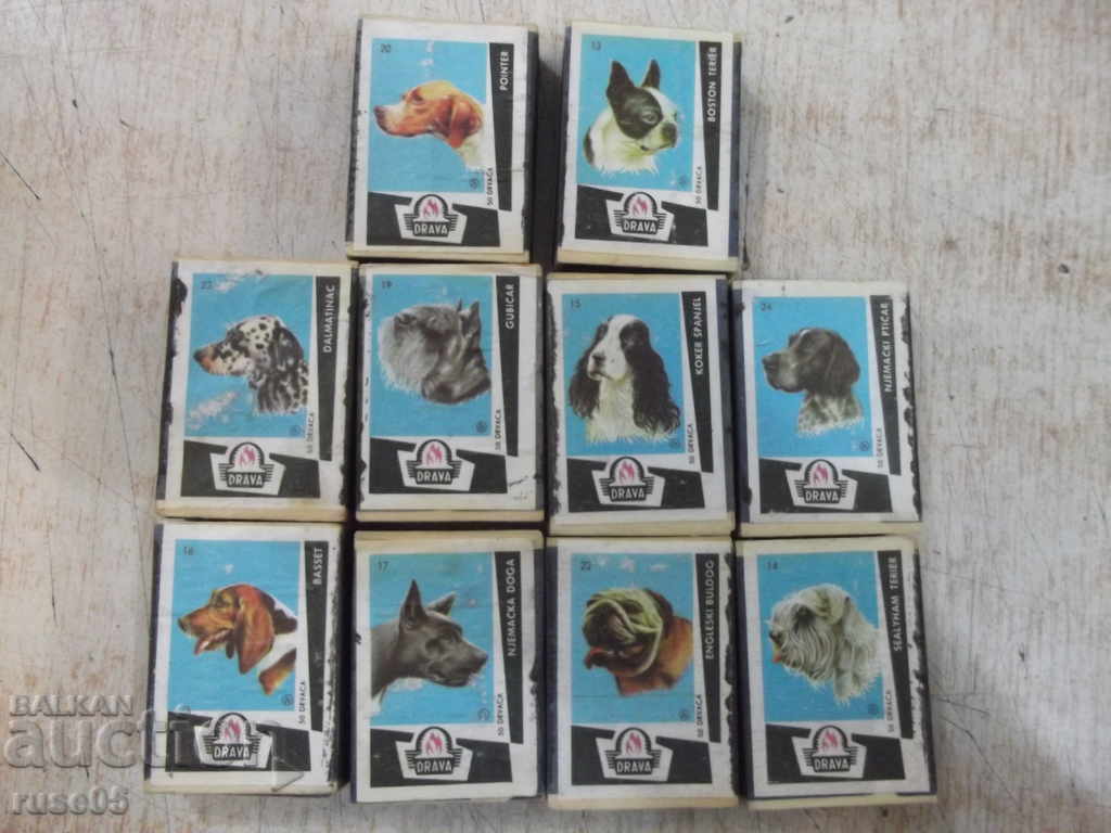 Lot of 10 pcs. unused dogs with dog images with price 50.00 BGN | € 25.56 Lot of 10 pcs. unused dogs with dog images with price 50.00 BGN | € 25.56