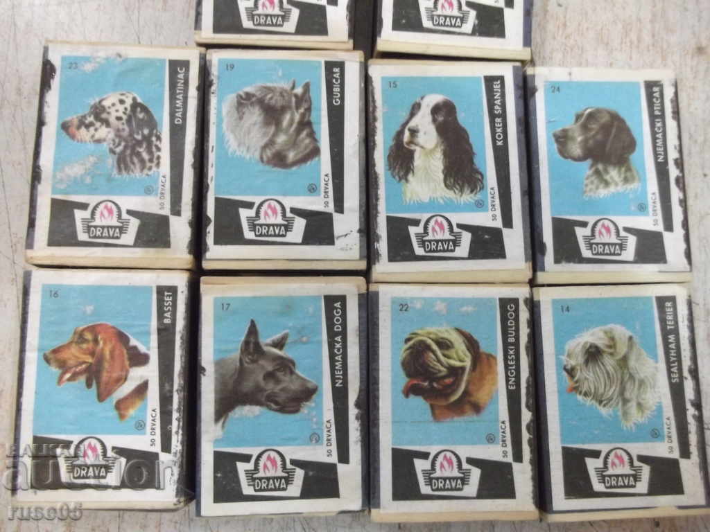 Delivery of Lot of 10 pcs. unused dogs with dog images Delivery of Lot of 10 pcs. unused dogs with dog images