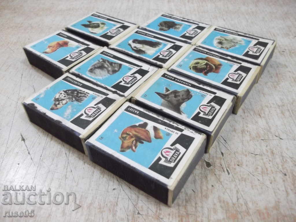 Lot of 10 pcs. unused dogs with dog images - 5 Lot of 10 pcs. unused dogs with dog images - 5