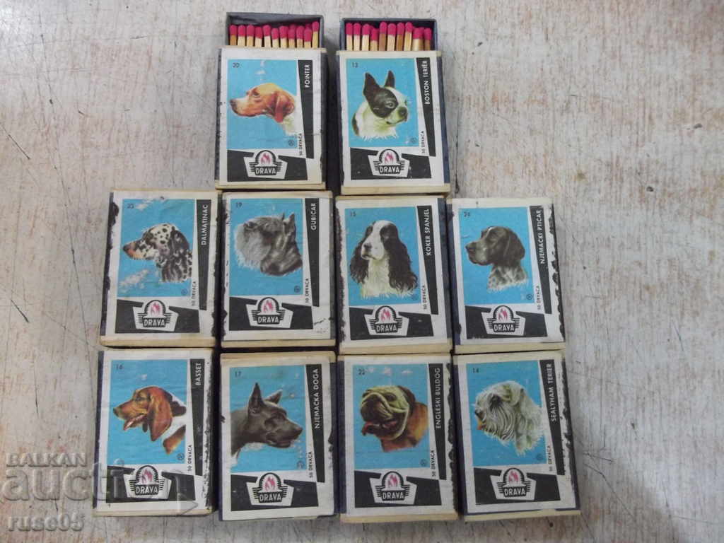Lot of 10 pcs. unused dogs with dog images