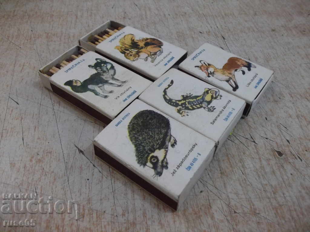 Auction Lot of 5 pcs. unused animal drawings Auction Lot of 5 pcs. unused animal drawings