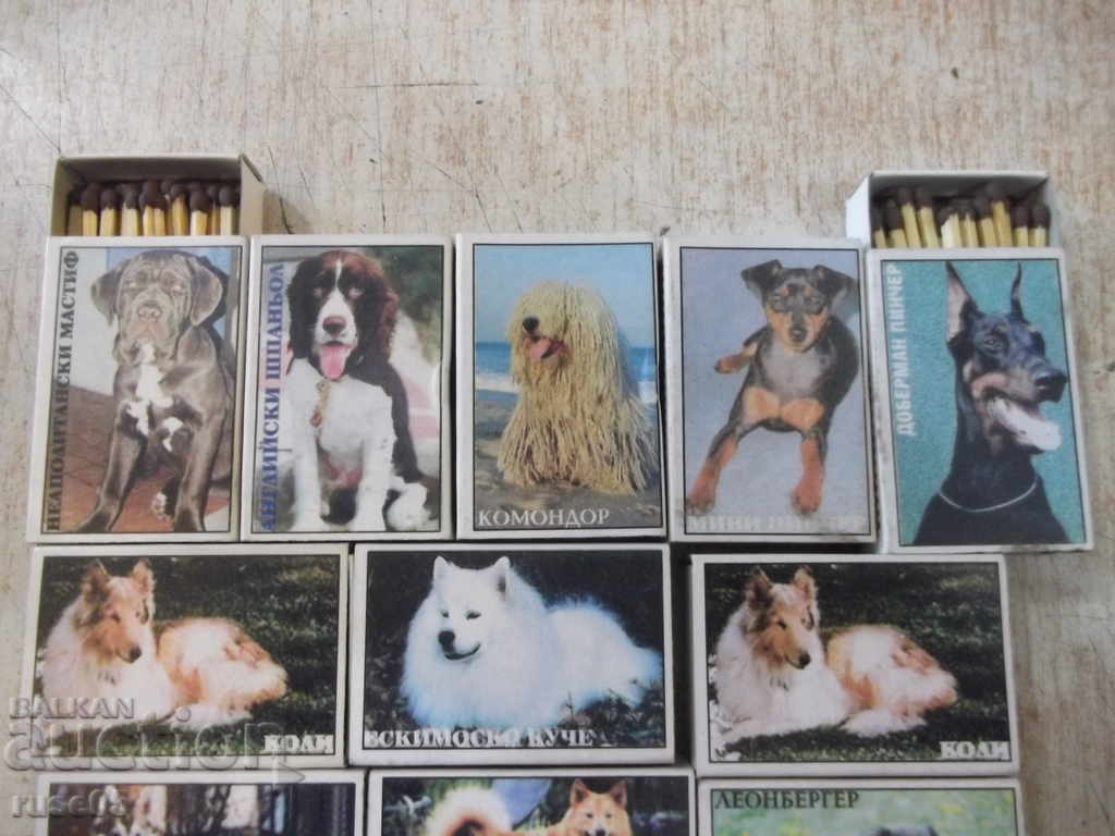 Lot of 14 pcs. unused Bulgarian kits with dog images with price 70.00 BGN | € 35.79 Lot of 14 pcs. unused Bulgarian kits with dog images with price 70.00 BGN | € 35.79