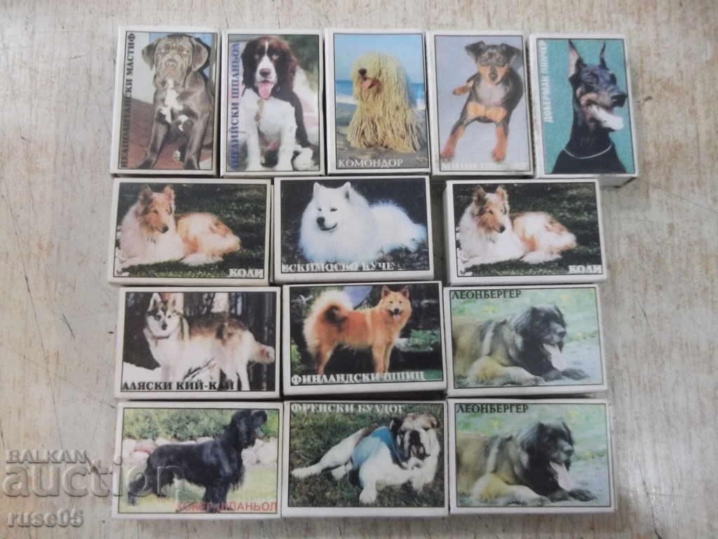Delivery of Lot of 14 pcs. unused Bulgarian kits with dog images Delivery of Lot of 14 pcs. unused Bulgarian kits with dog images