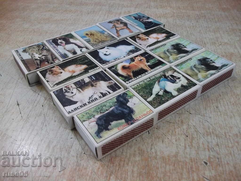 Lot of 14 pcs. unused Bulgarian kits with dog images - 5 Lot of 14 pcs. unused Bulgarian kits with dog images - 5