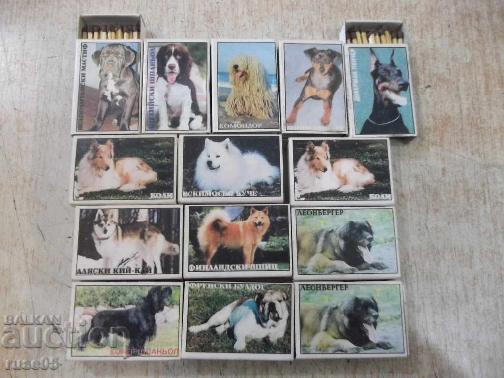 Lot of 14 pcs. unused Bulgarian kits with dog images