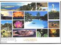 Пътувала пощенска картичка  Лансароте  Изгледи  от Испания