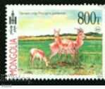 Delivery of Set of 4 stamps Mongolian gazelles, 2013, Mongolia Delivery of Set of 4 stamps Mongolian gazelles, 2013, Mongolia