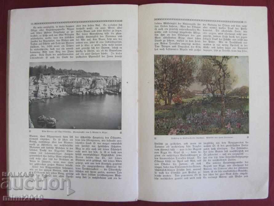 Delivery of The 30 Monte Carlo Album