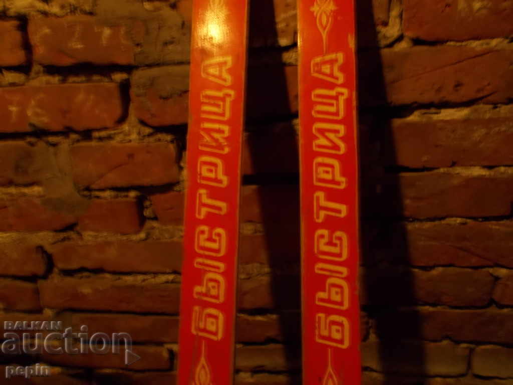 Δημοπρασία Στυλό σκι αντοχής Δημοπρασία Στυλό σκι αντοχής