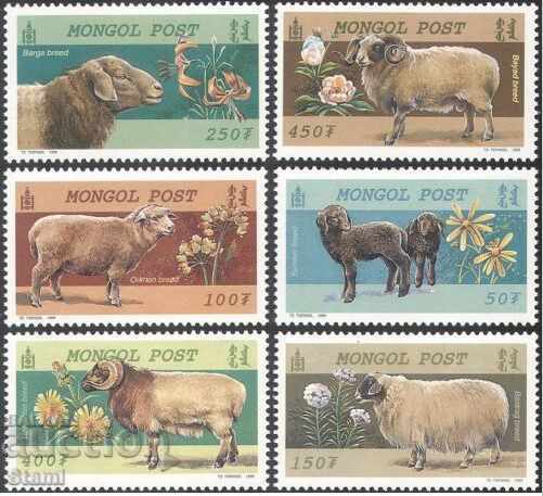 Block mark and Set 6 marks Sheep, 1999, Mongolia with price 7.20 BGN | € 3.68 Block mark and Set 6 marks Sheep, 1999, Mongolia with price 7.20 BGN | € 3.68