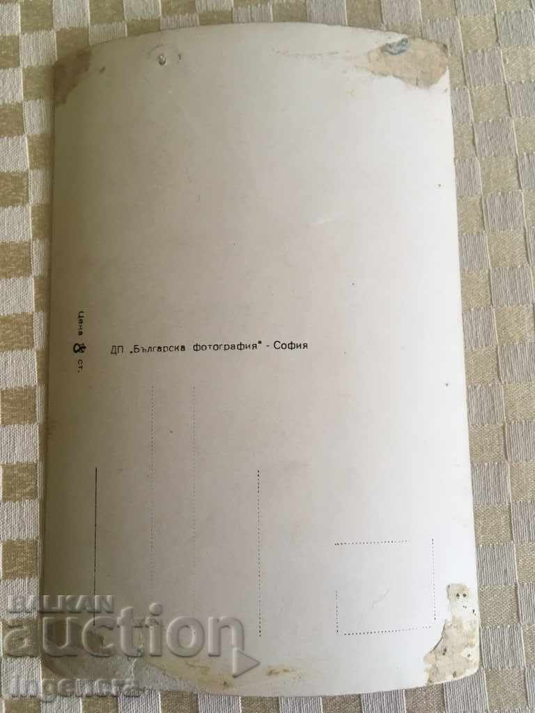 PICTURE OF A CHARLIE CHAPLIN CARD with price 5.00 BGN | € 2.56