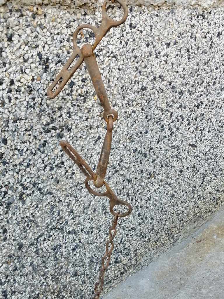 An old forged bridle reins wrought iron, a harness with price 33.00 BGN | € 16.87 An old forged bridle reins wrought iron, a harness with price 33.00 BGN | € 16.87